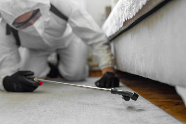 Professional Termite Control technician working in Mission Hills, CA
