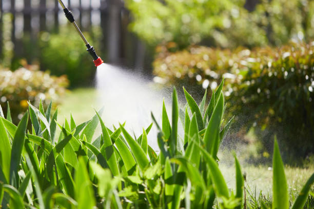 24/7 Emergency Termite Control experts in Mission Hills, CA