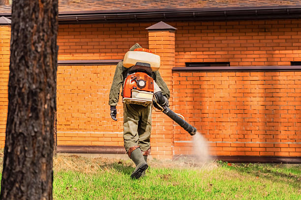 Trusted Emergency Pest Control service in Mission Hills, CA - Nex Pest Control